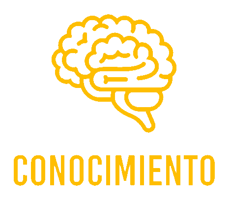 Conocimiento